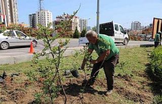 Toroslar Belediyesi, ilçenin çiçek ve bitkilerini...