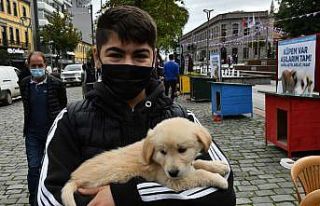 Trabzon’da 4 Ekim Dünya Hayvanları Koruma Günü...