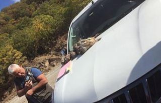 Tunceli’de kaçak avlanan 9 kişiye ceza kesildi,...