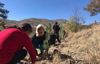 Tunceli’de Tenzile Erdoğan anısına fidan dikildi