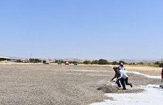 Tunceli’de ürün hasadı çiftçilerin yüzünü...