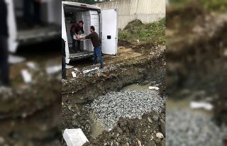Türkeli’de yasal boyutun altındaki 5 ton balığa...