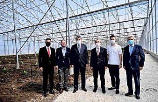 Türkiye’de ilk... OSB’ye muz serası kuruldu