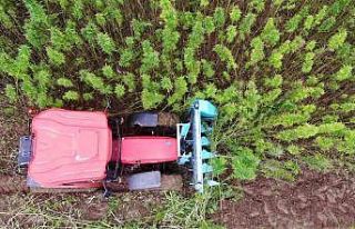 Türkiye’nin ilk tescilli kenevirinde hasat