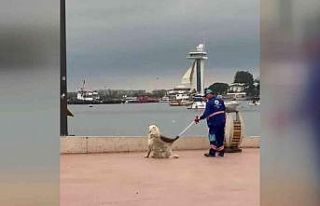 Tuzla’da temizlik personeli ve köpeğin yürekleri...