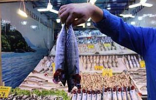 Ulus Hali Balıkçı esnafı meydan okudu