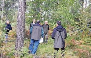 Ulusal orman envanteri çalışmaları devam ediyor