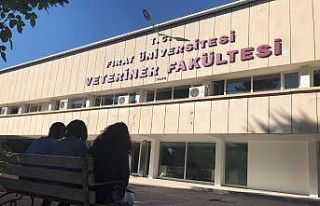 Uluslararası başarıya imza atan FÜ Veteriner Fakültesi,...