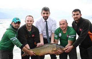 Uluslararası Sazan Balığı Tutma Yarışması başlıyor