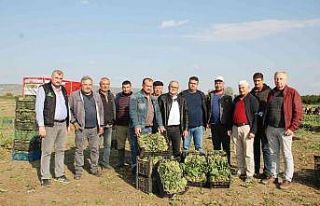 Üretici ve işçileri zehirli ıspanak iddiaları...