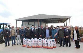 Üreticilere yem bezelyesi tohumu dağıtıldı