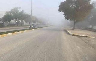 Uzunköprü’de yoğun sis