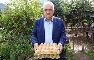 Uzunlar’dan ’yumurta fiyatı’ açıklaması
