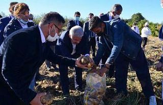 Vali Akın, liseye ait tarım uygulama alanında incelemede...