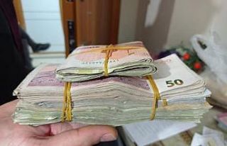 Van’da 2 Afganistan uyruklu organizatör yakalandı