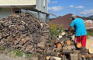 Vatandaşların kışlık odun hazırlıkları sürüyor