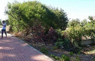 Virajı alamayarak bahçeye uçtu: 1 yaralı