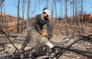 Yanan sahalara kadın eli