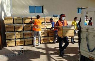 Yangınzede arıcılara 360 kovan desteği
