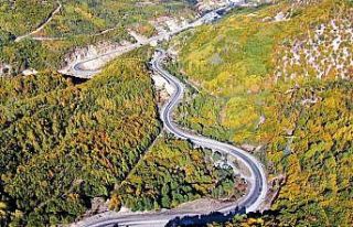 Yapraklar sarardı ortaya tablo gibi görüntüler...