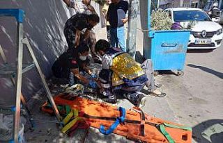 Yaşlı adam zeytin toplamak için çıktığı merdivenden...