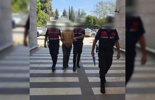 Yayla evlerinden hırsızlık yapan zanlı tutuklandı