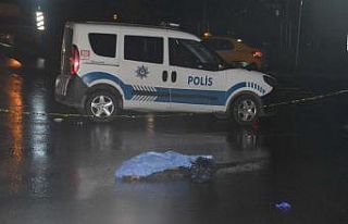 Yemek yemek için yolun karşısına geçmek istediler,...