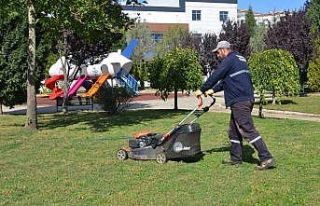 Yeşil alanların temizlik ve bakım çalışmaları