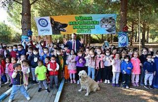 Yıldırım’da sokak hayvanları emin ellerde