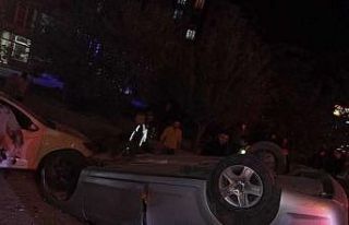 Yola çıkan köpek kazaya neden oldu