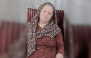 Yolun karşısına geçmeye çalışan kadın hayatını...