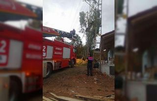 Yozgat’ta ağaç budarken elektrik akımına kapıldı,...