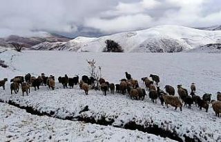 Yüksekova’da kar 5 santimi buldu