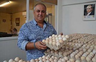 Yumurta çiftlikten pazara kadar en az iki el değiştiriyor