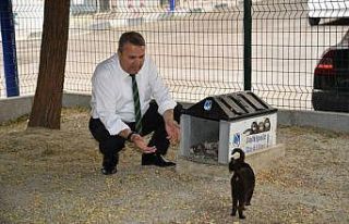 Yunusemre’de sokak hayvanları unutulmadı