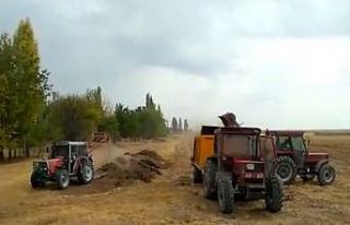 Zamlar çiftçiyi hayvan gübresine yöneltti