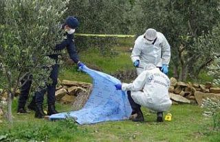 Zeytin ağacı yüzünden kardeşini öldüren ağabey,...