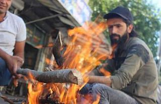 Zeytin hasadında geleneksel yöntem ’sırık’