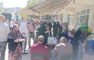 Zeytin üreticileri rekolte beyanı veriyor