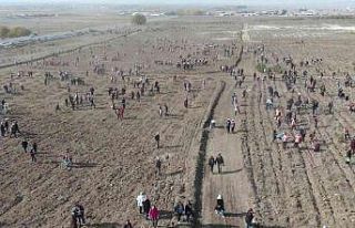 11 Kasım Ağaç Bayramı hazırlıkları tamamlanmak...