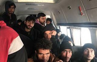 17 kişilik minibüste 38 düzensiz göçmenle balık...