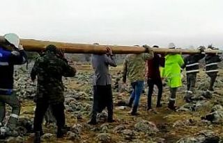 200 kiloluk elektrik direğini sırtlarında taşıyarak...