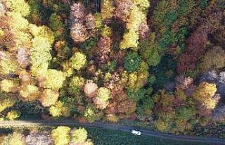 2 bin 80 rakımlı Genya dağında Sonbahar’da renk...