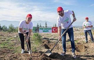 36 bin fidan toprakla buluştu