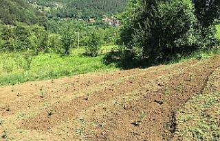 40 yıl Avrupa’da yaşadı, memleketine dönüp...