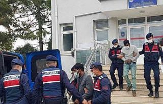 5 ayrı hırsızlık olayının şüphelileri tutuklandı