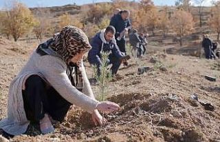 6 bin adet fidan toprakla buluştu