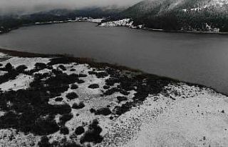 Abant Tabiat Parkı yılın il karıyla buluştu
