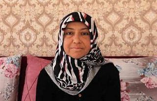 Abisinin böbreğiyle hayata tutundu