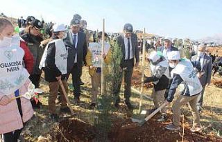 Adıyaman’da 120 bin fidan toprakla buluşturuldu